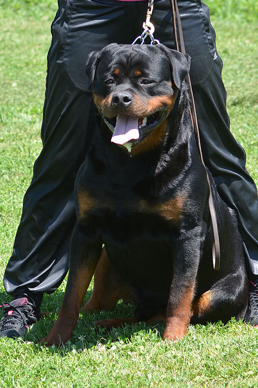 Yumbo von der Alten Festung Yumbo von der Alten Festung